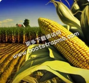 全天候不间断服务，随时随地精彩呈现 - 风速直播