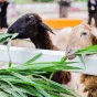 搜索赛事 - 风速直播